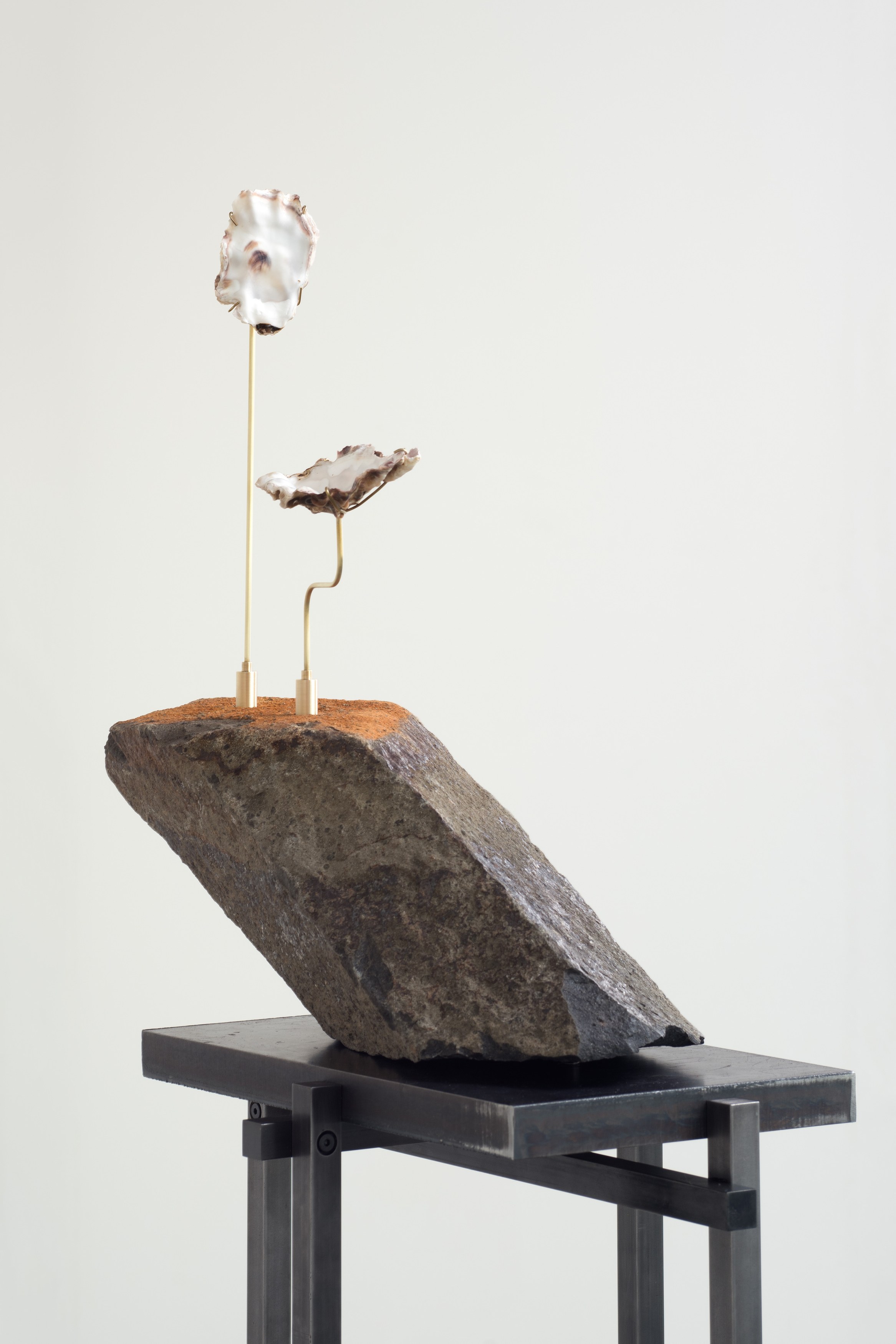 Deep Time, Deep Time at Moskowitz Bayse, photo 17