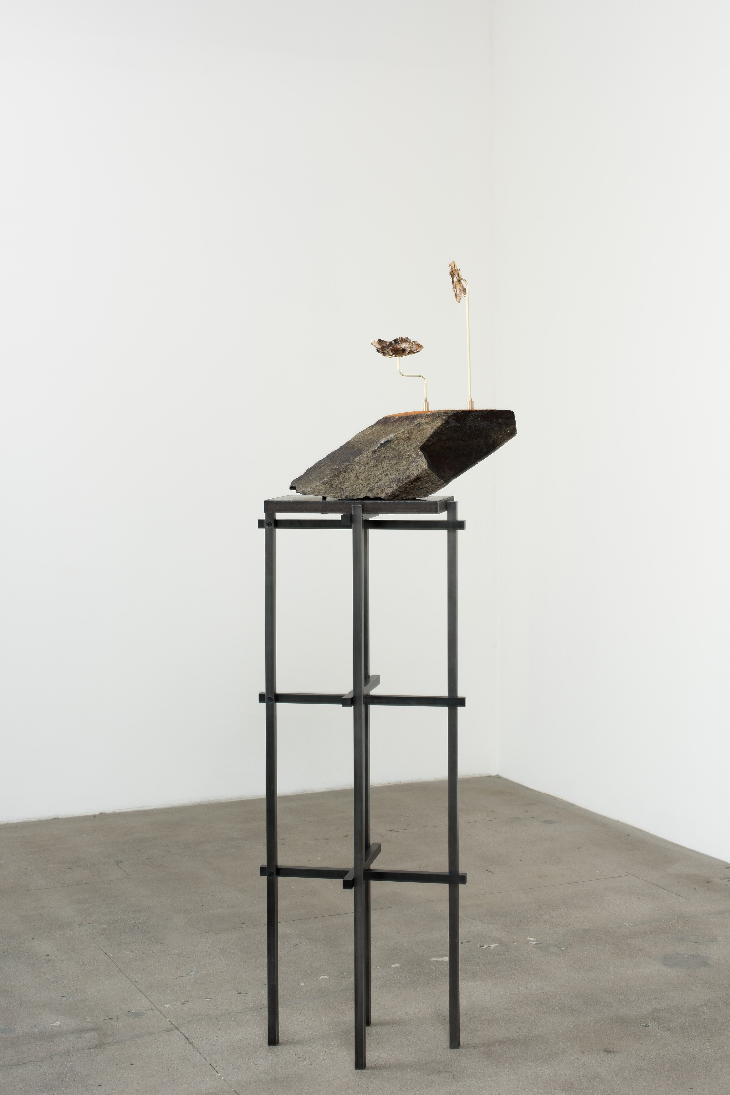 Deep Time, Deep Time at Moskowitz Bayse, photo 30