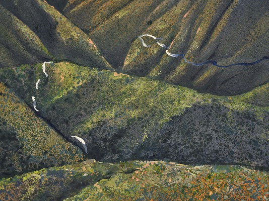 Image 24 of 35