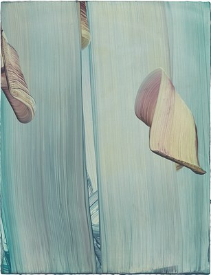 Image 26 of 45