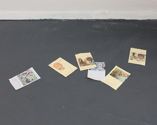 Image 19 of 21