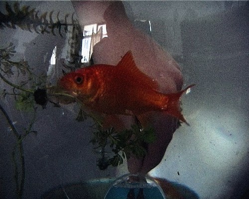 Image 7 of 10