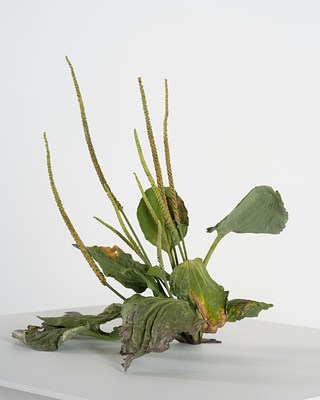 Image 27 of 35