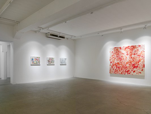 Image 1 of 17