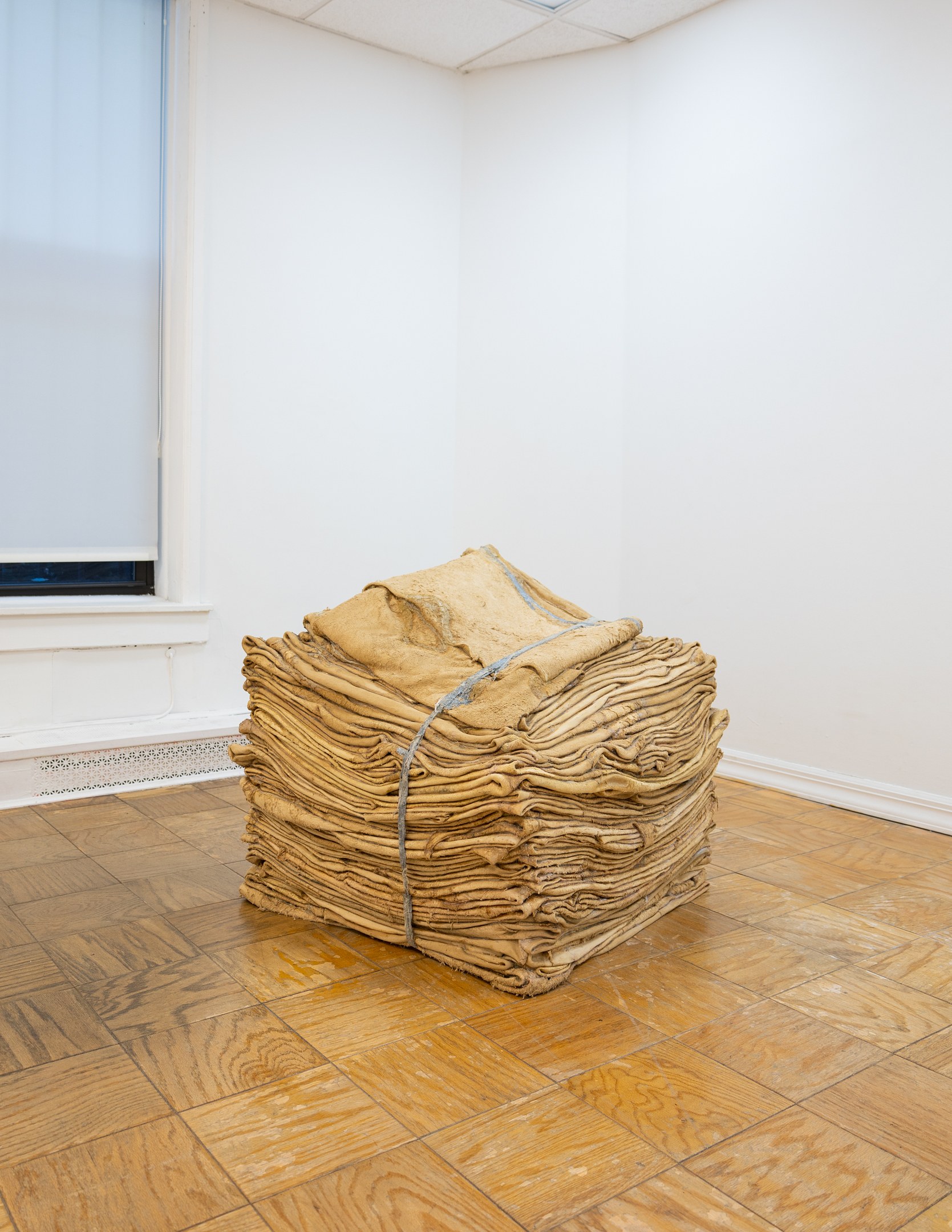 Hannah Black, Sophie Friedman-Pappas, Hannah Black and Sophie Friedman-Pappas at Meredith Rosen Gallery, photo 10