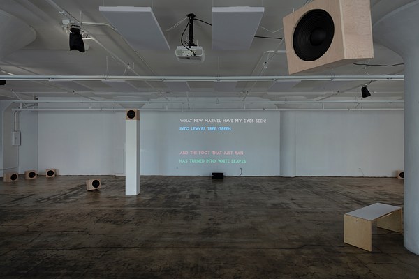 Image 2 of 22