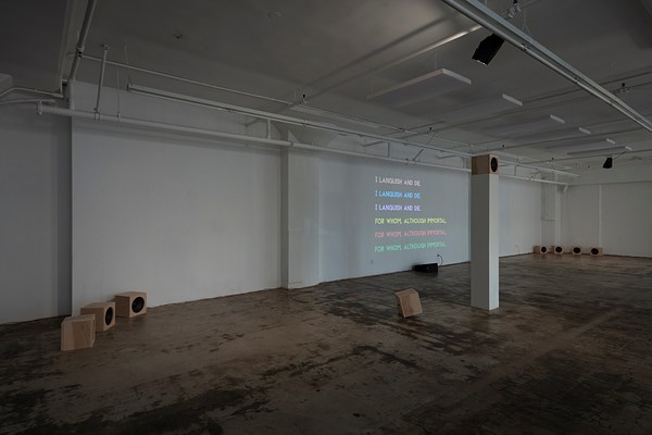 Image 6 of 22