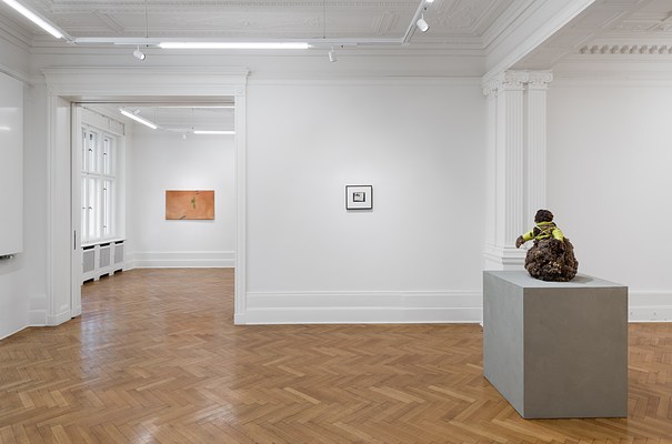 Image 7 of 16