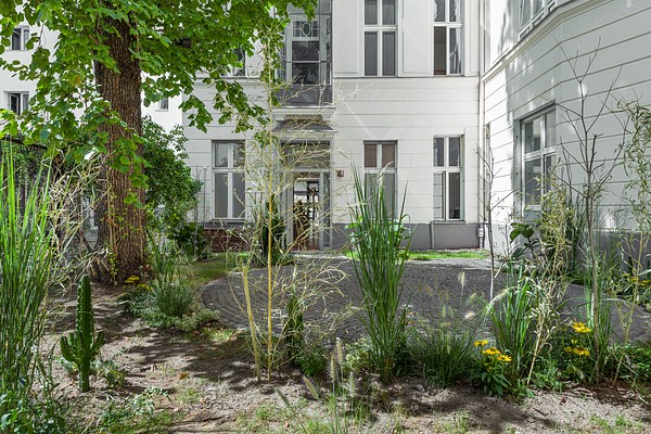 Image 2 of 16