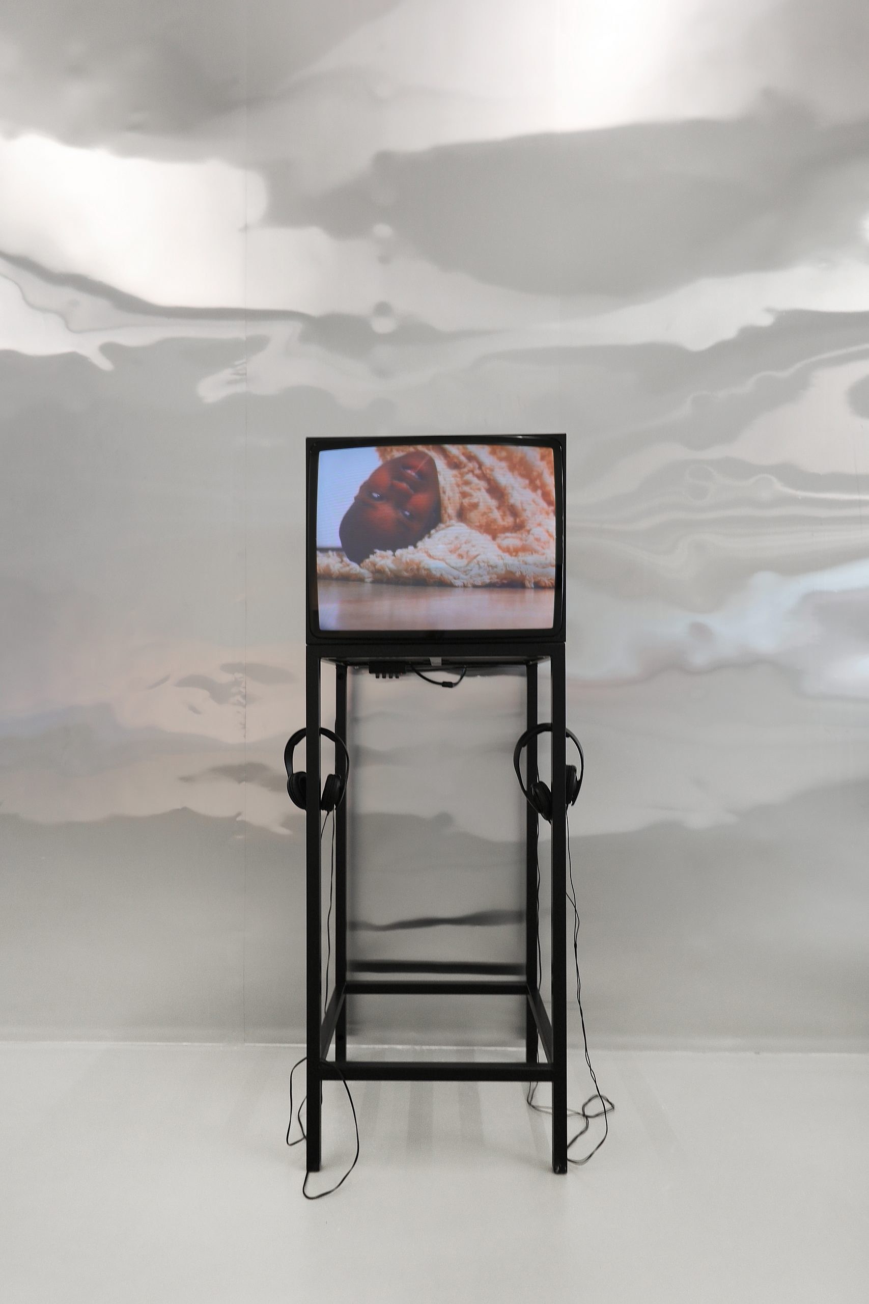 Edgar Calel, Naomi Rincón Gallardo, Storefront for Dissident Bodies at DAAD, photo 8