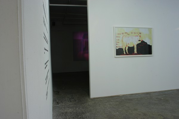 Image 7 of 28