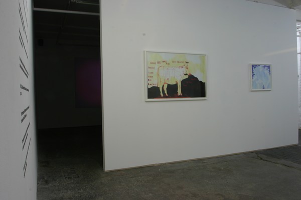 Image 5 of 28