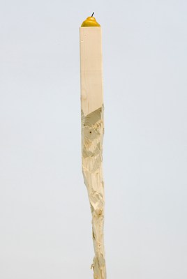 Image 17 of 25