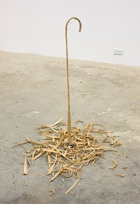 Image 19 of 25