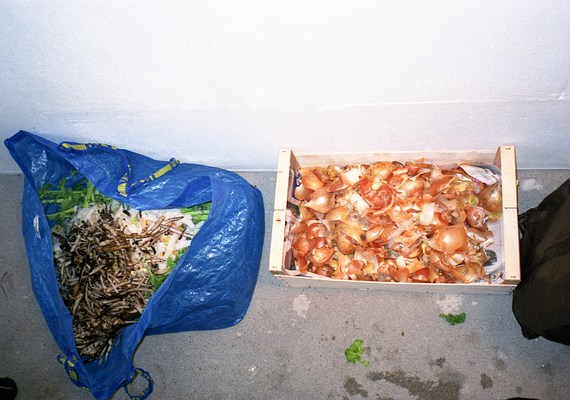 Image 18 of 24