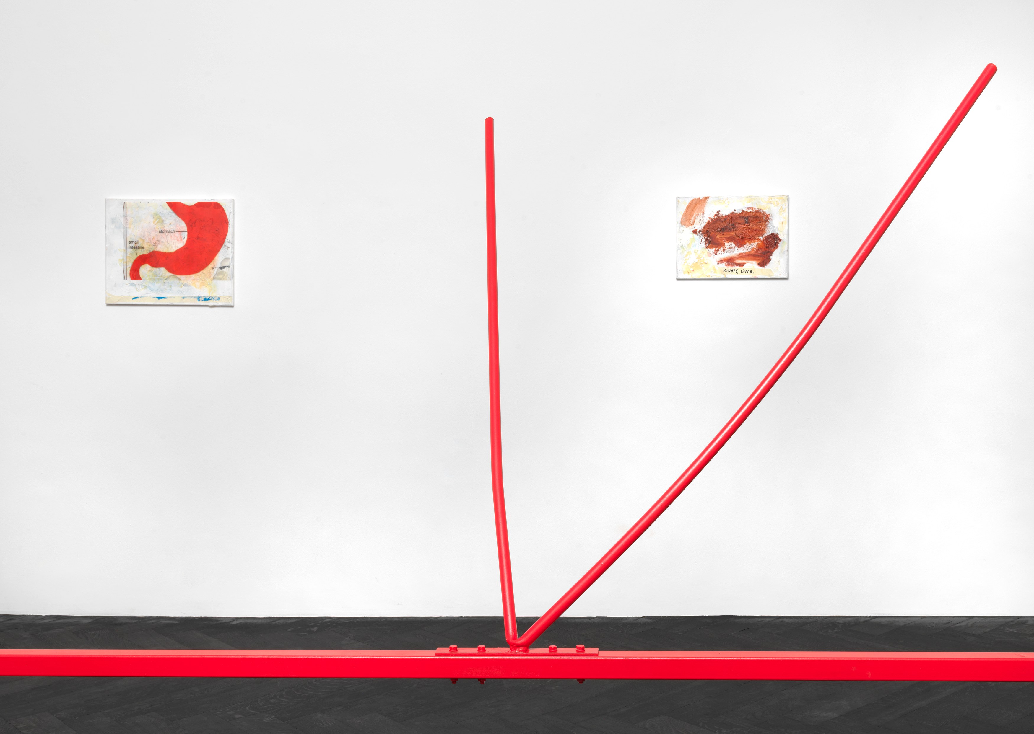Henrik Olesen, Digestion at Galerie Buchholz, Berlin, photo 19