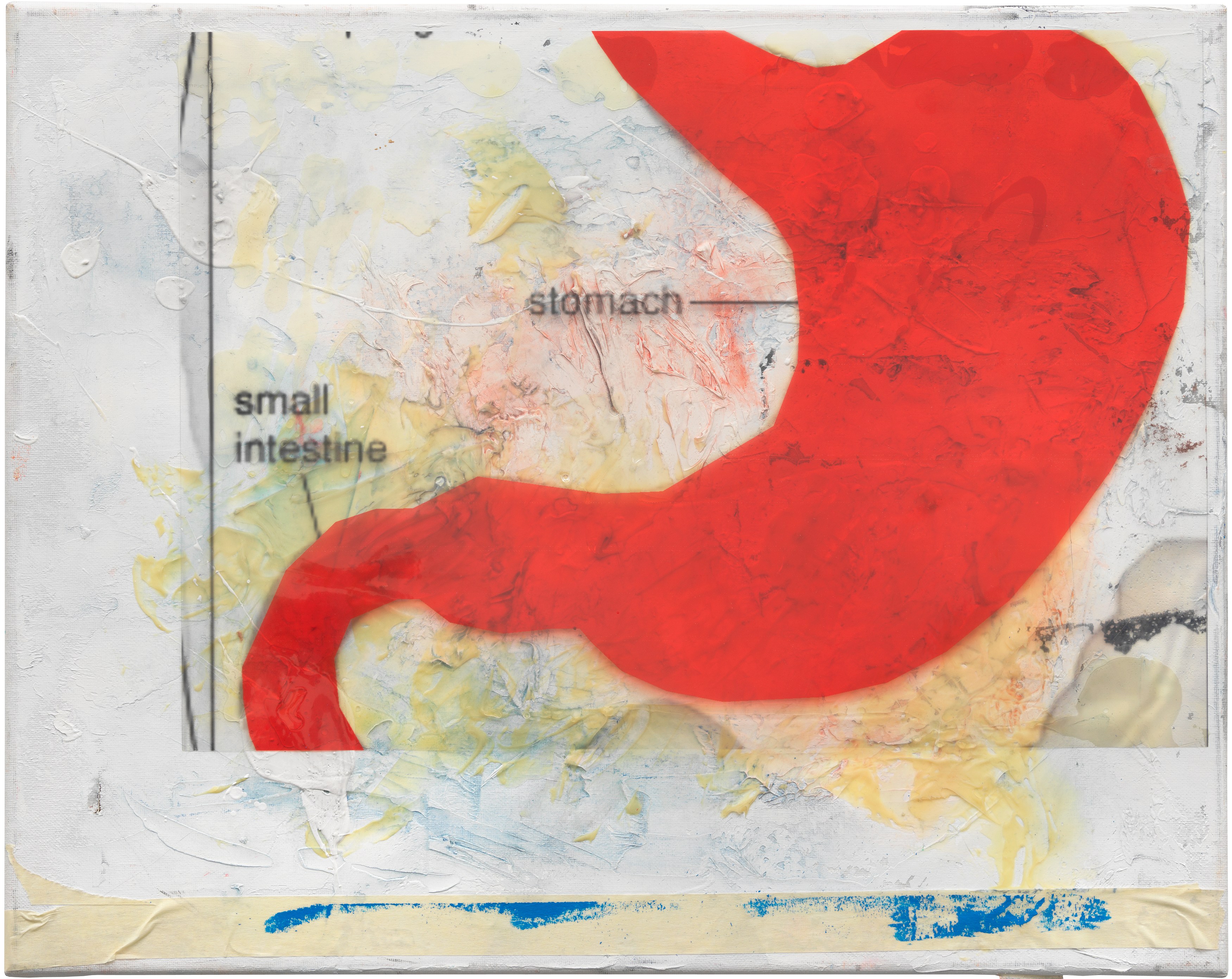 Henrik Olesen, Digestion at Galerie Buchholz, Berlin, photo 21