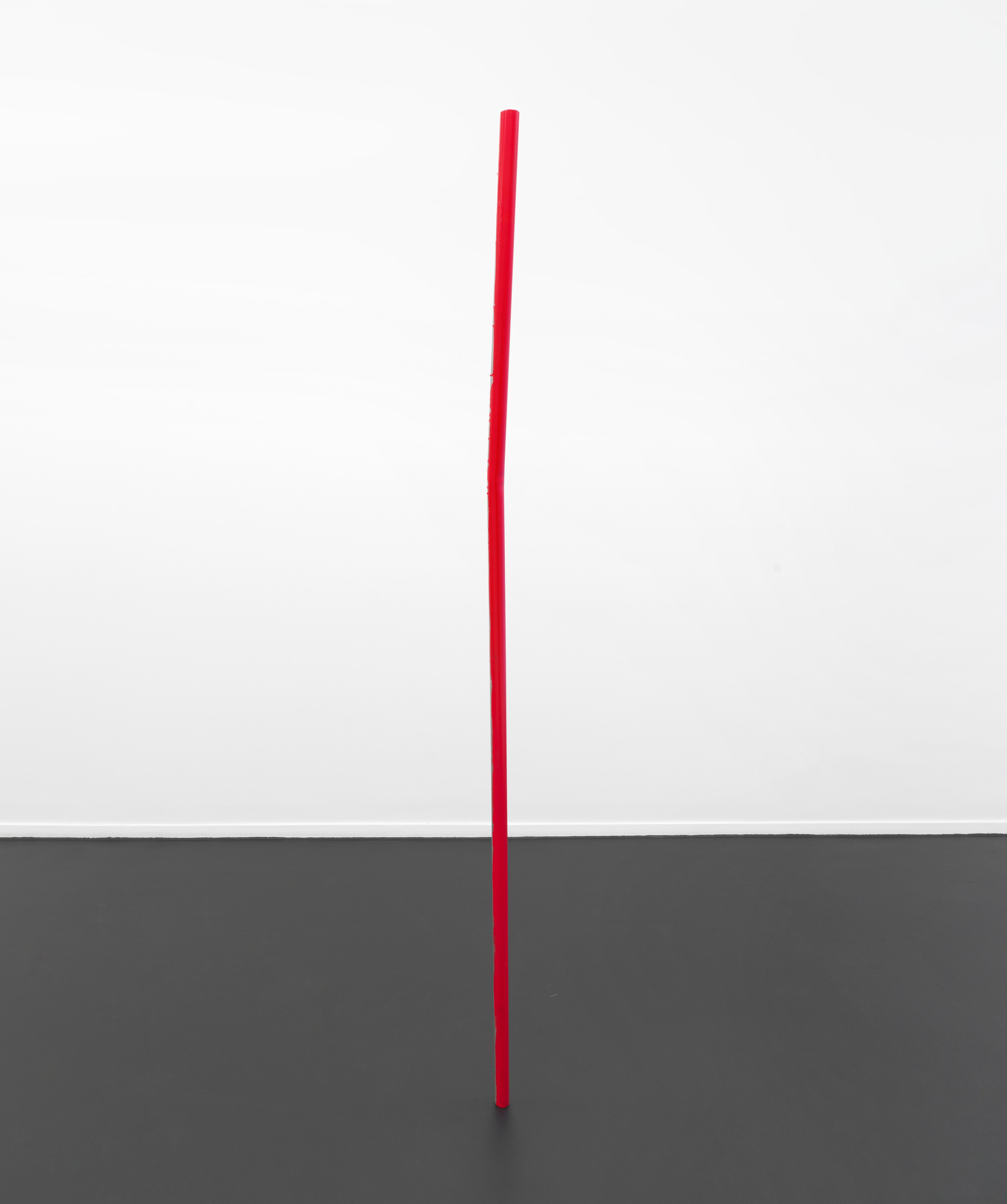 Henrik Olesen, Digestion at Galerie Buchholz, Berlin, photo 25
