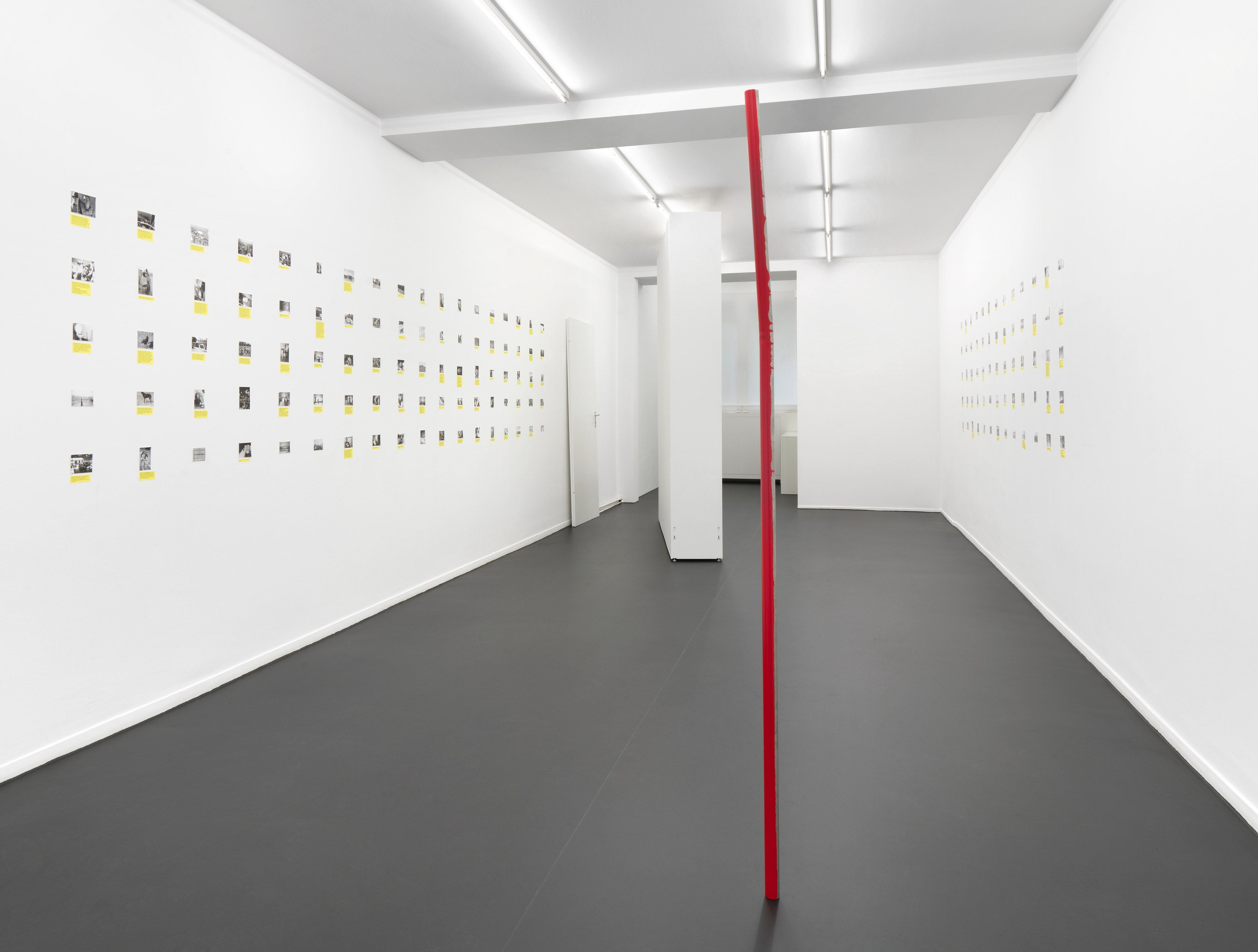 Henrik Olesen, Digestion at Galerie Buchholz, Berlin, photo 26