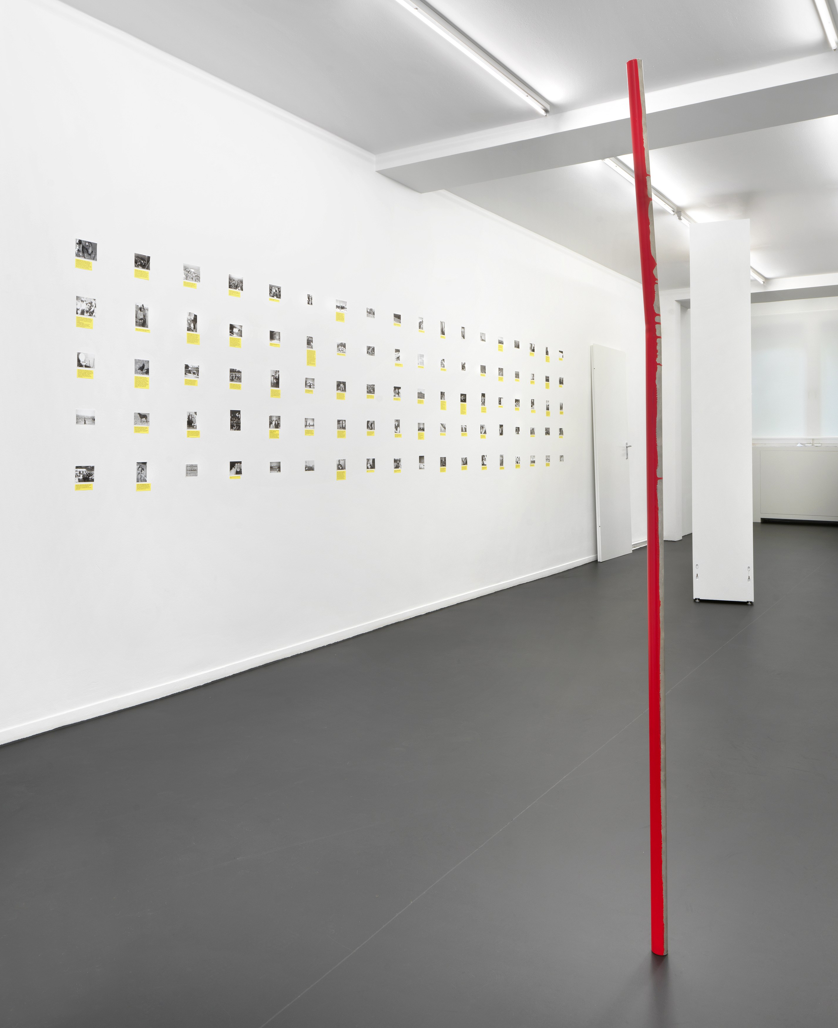 Henrik Olesen, Digestion at Galerie Buchholz, Berlin, photo 27