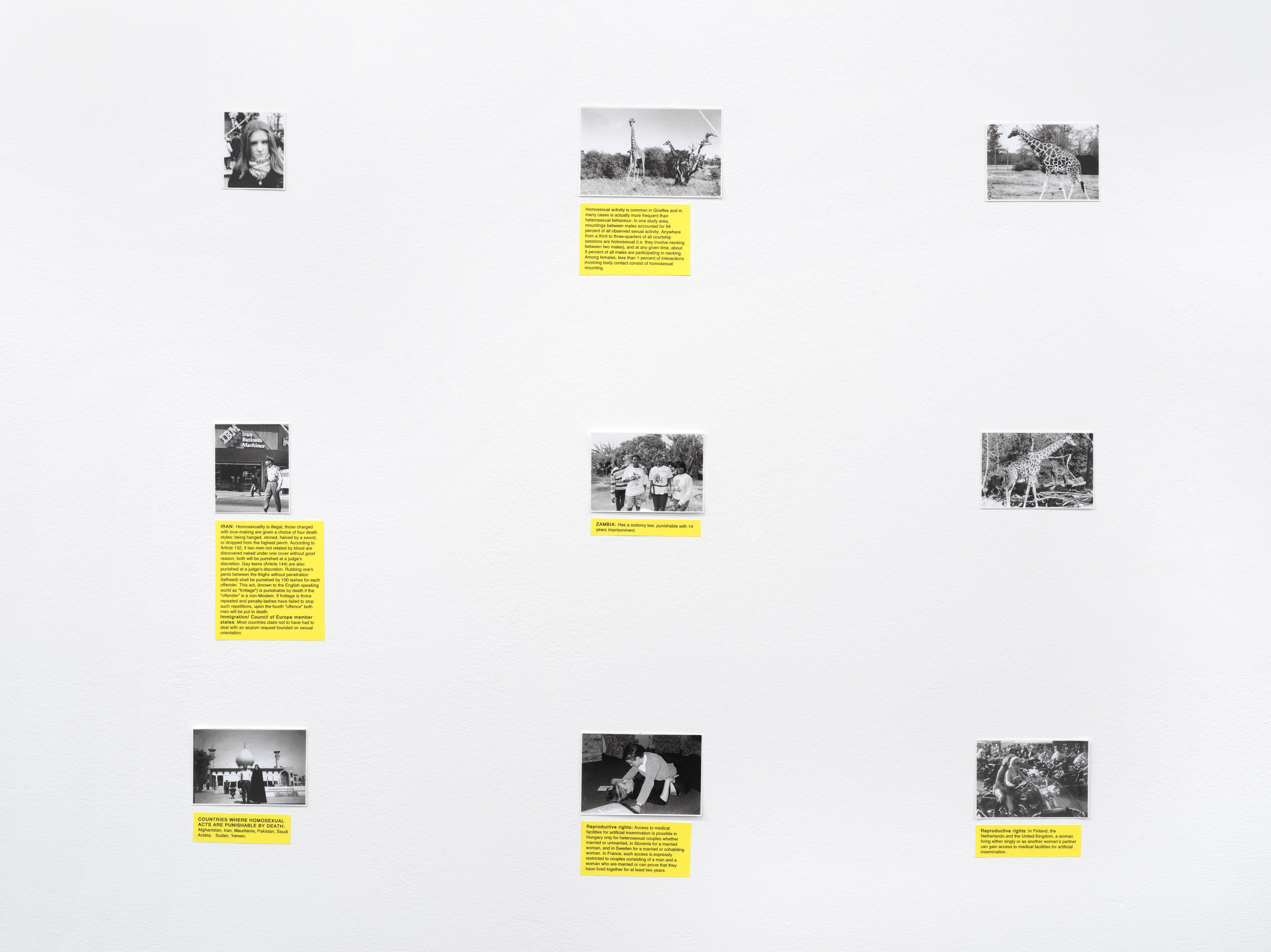 Henrik Olesen, Digestion at Galerie Buchholz, Berlin, photo 32
