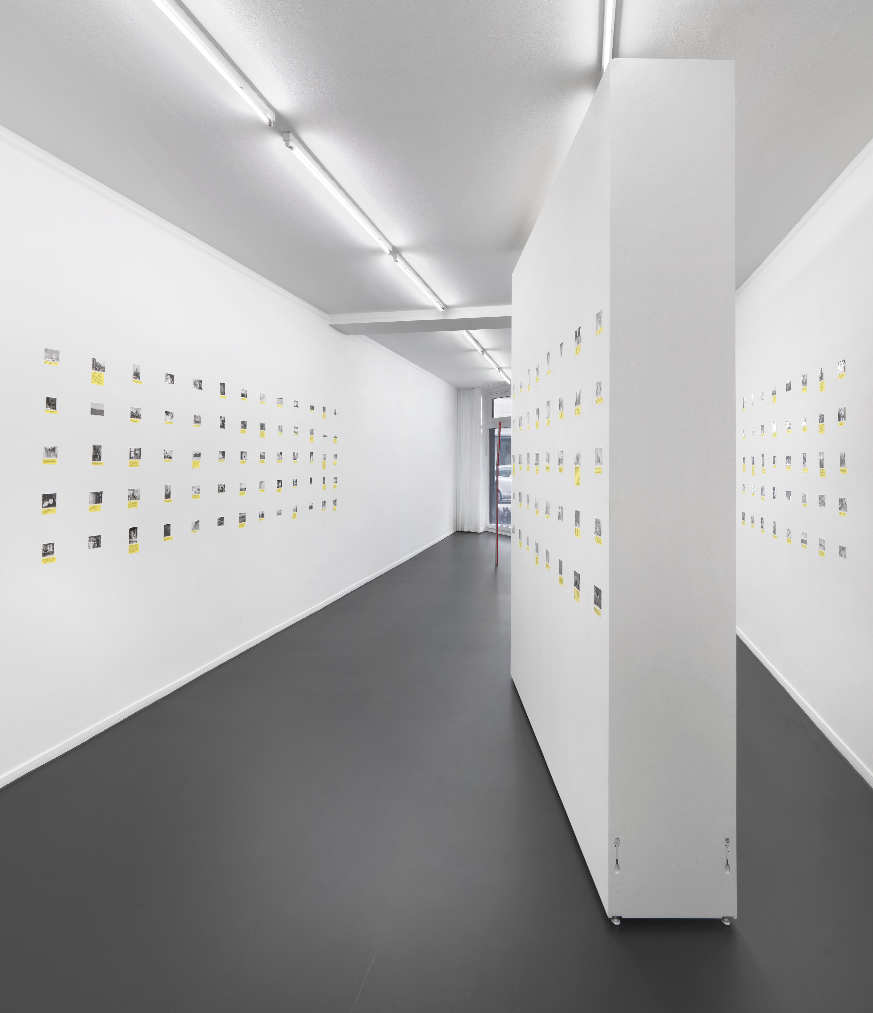 Henrik Olesen, Digestion at Galerie Buchholz, Berlin, photo 36