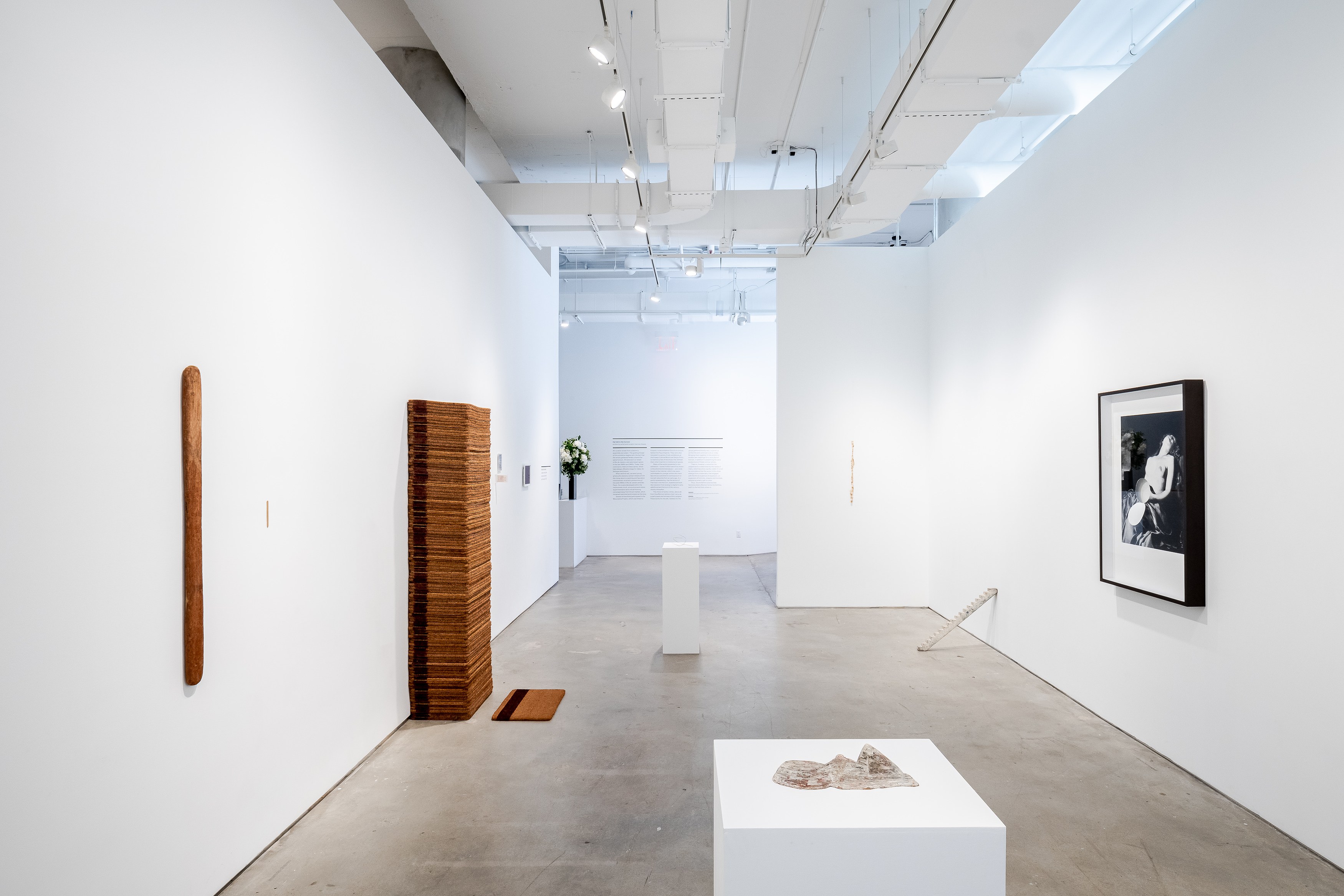 The Fold in the Horizon, The Fold in the Horizon at Nara Roesler, photo 2