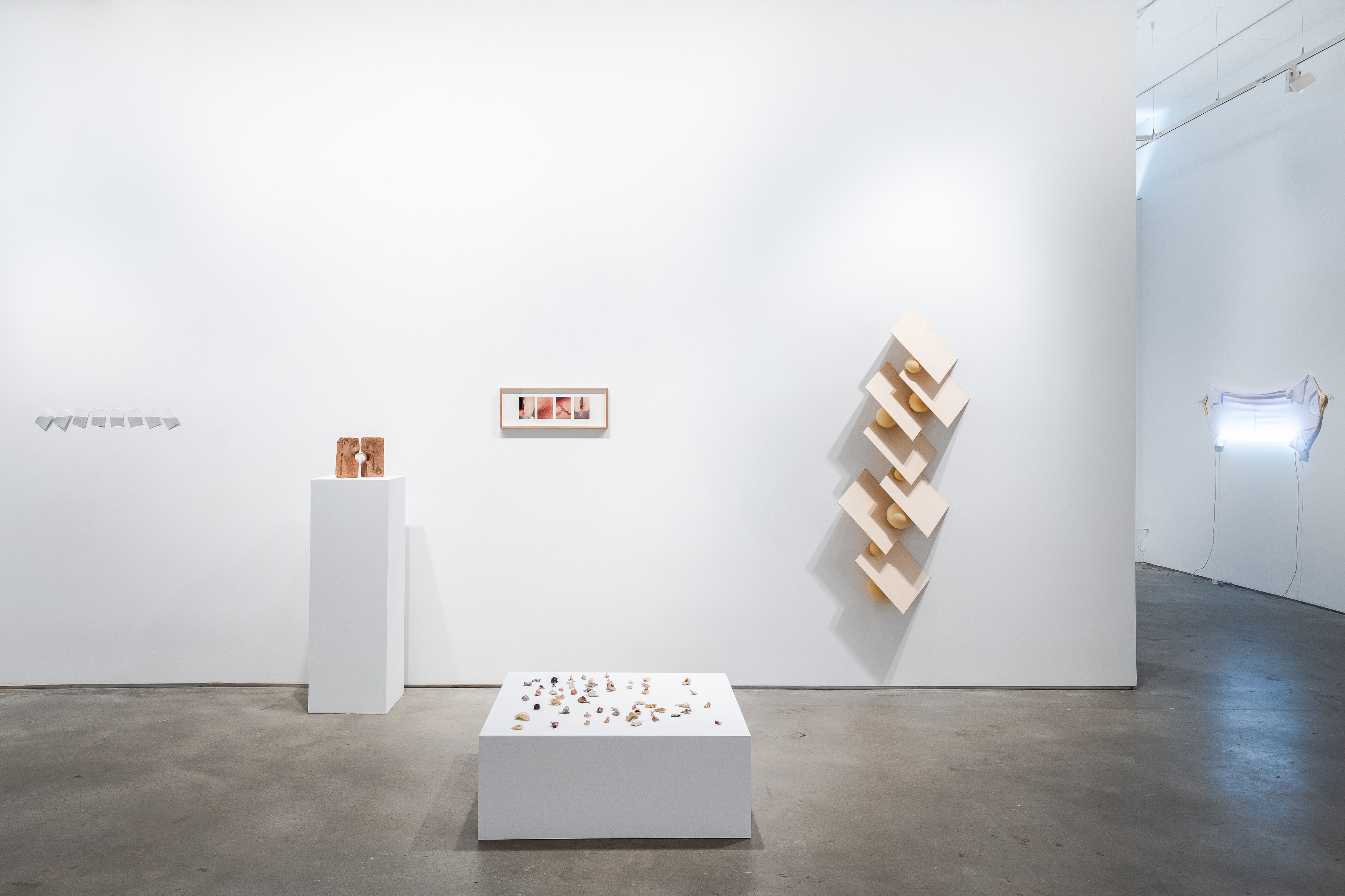 The Fold in the Horizon, The Fold in the Horizon at Nara Roesler, photo 6