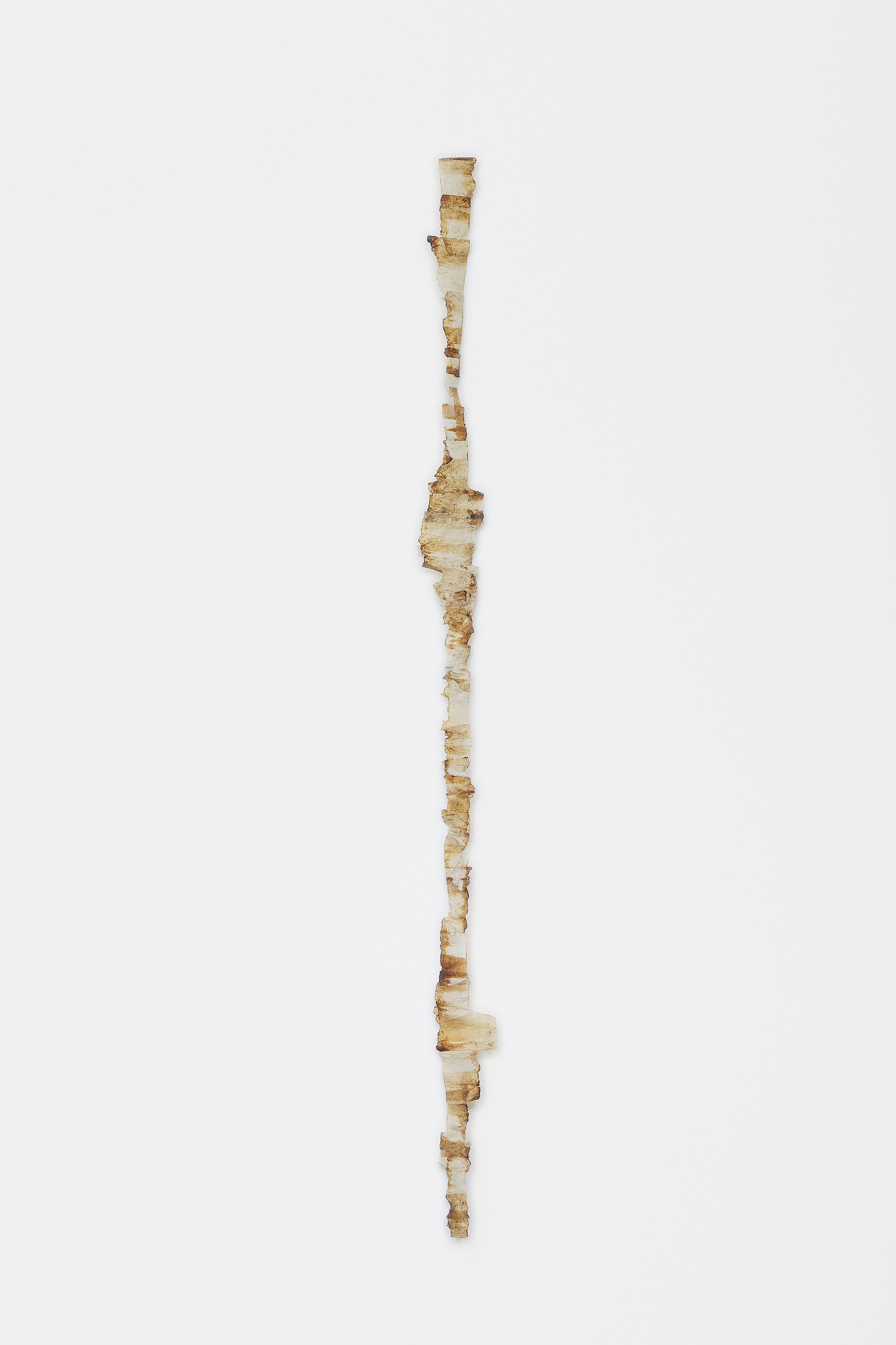 The Fold in the Horizon, The Fold in the Horizon at Nara Roesler, photo 15