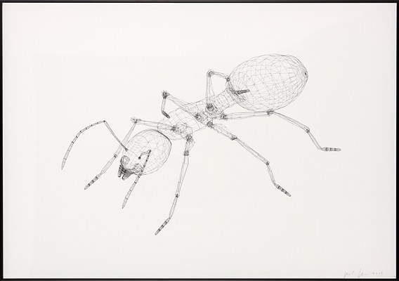 Image 13 of 26