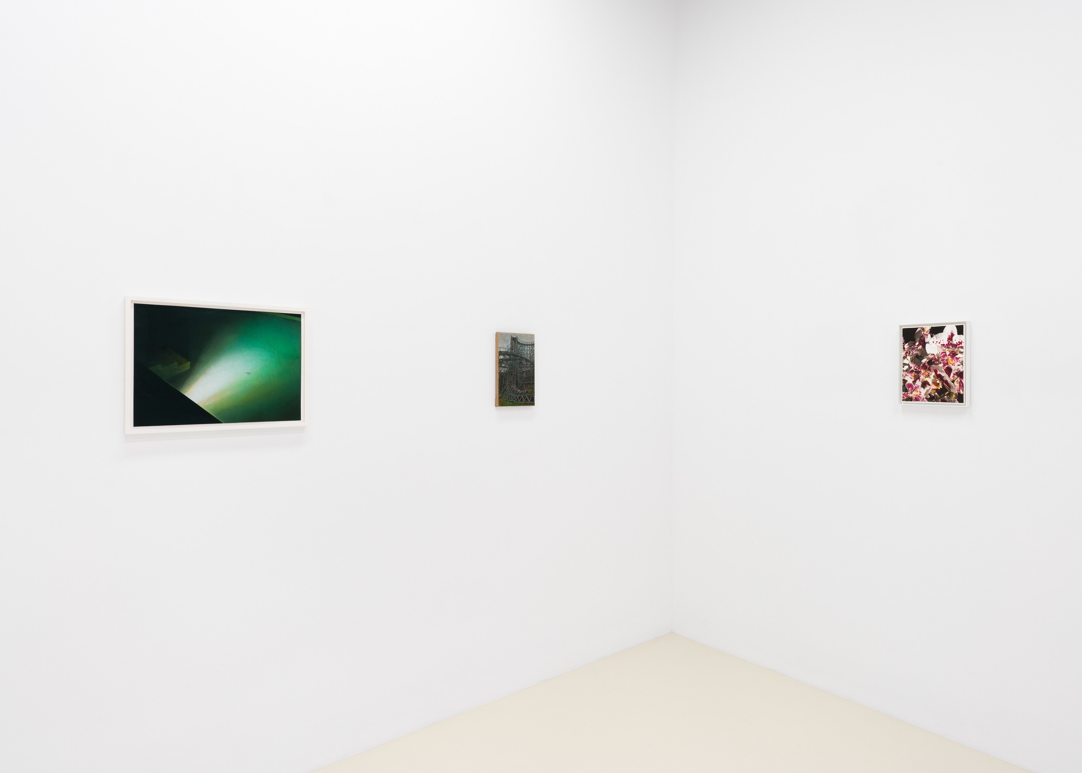 A Minor Constellation, A Minor Constellation at Chris Sharp Gallery, photo 10