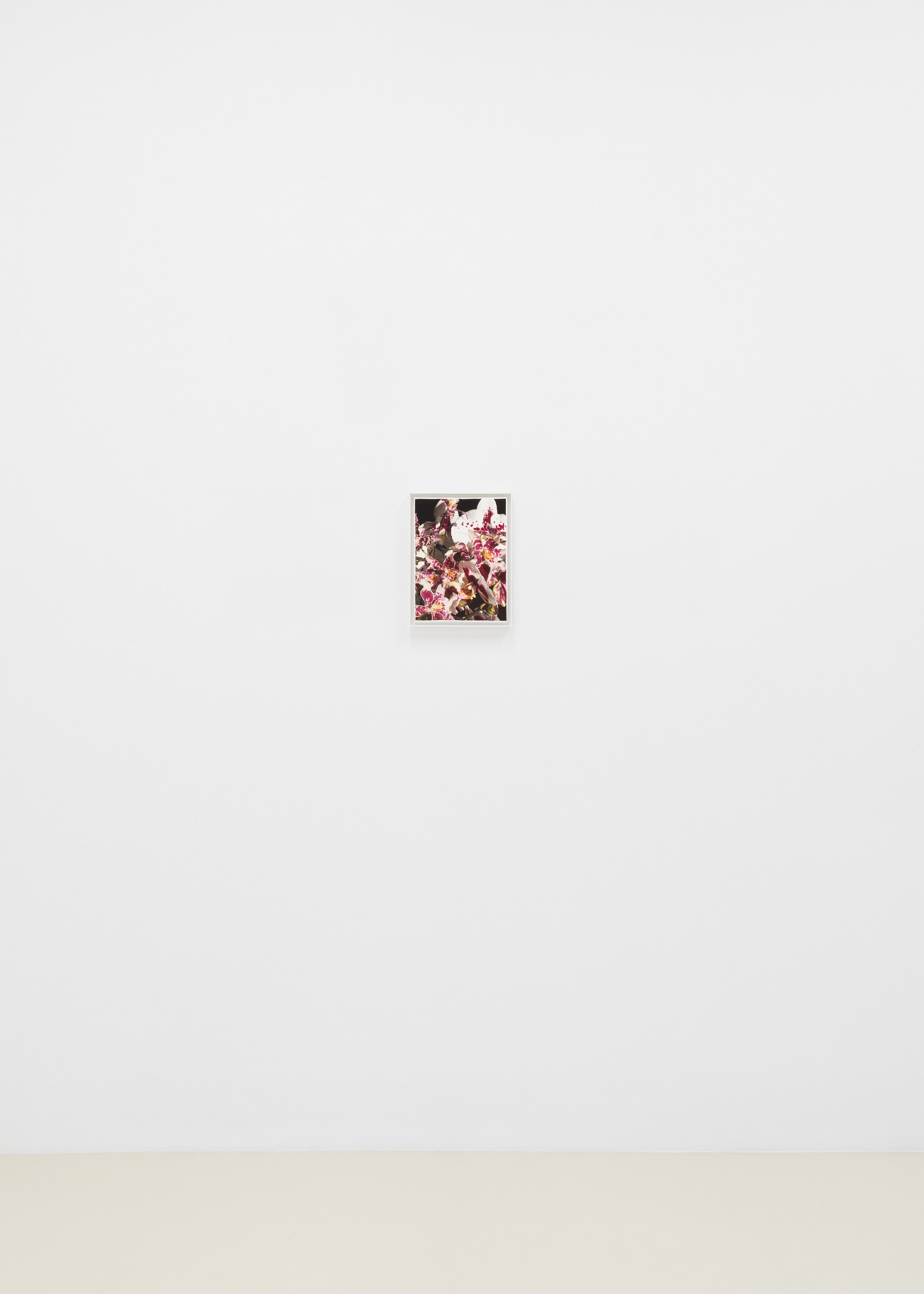 A Minor Constellation, A Minor Constellation at Chris Sharp Gallery, photo 13