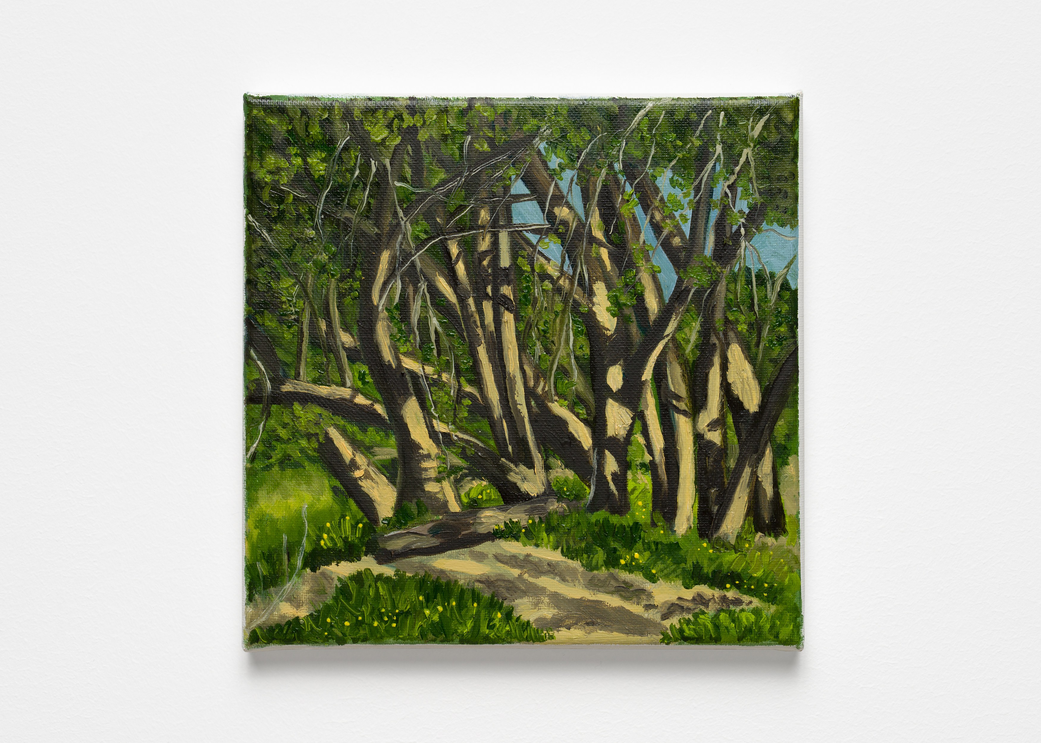 A Minor Constellation, A Minor Constellation at Chris Sharp Gallery, photo 40