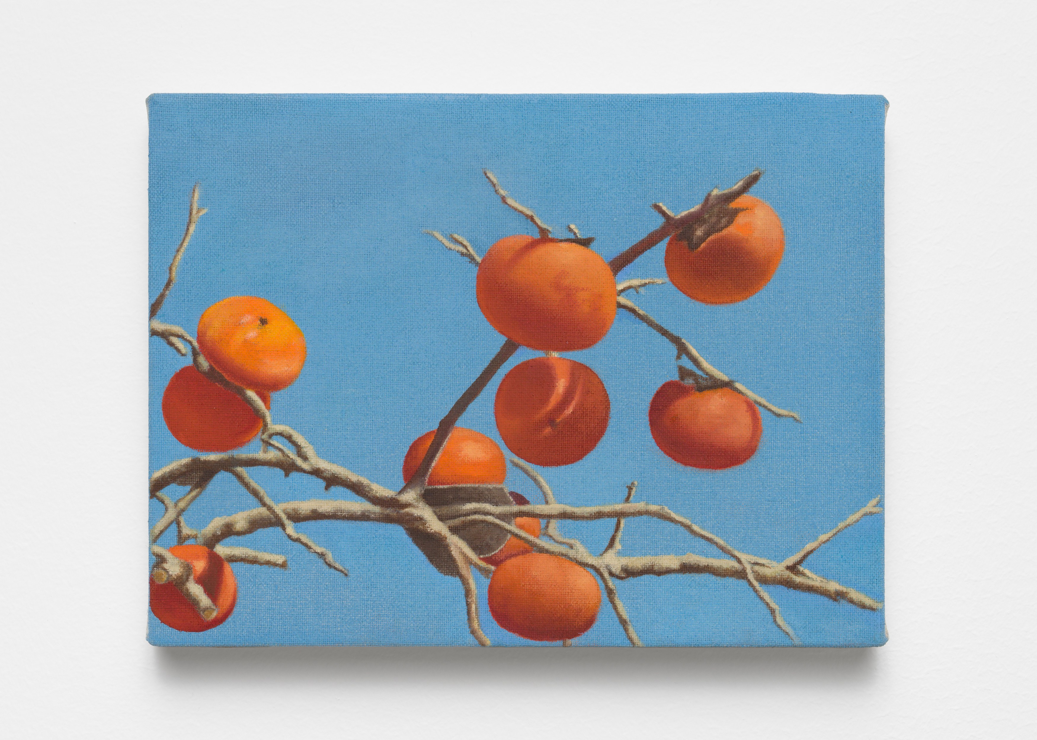 A Minor Constellation, A Minor Constellation at Chris Sharp Gallery, photo 49