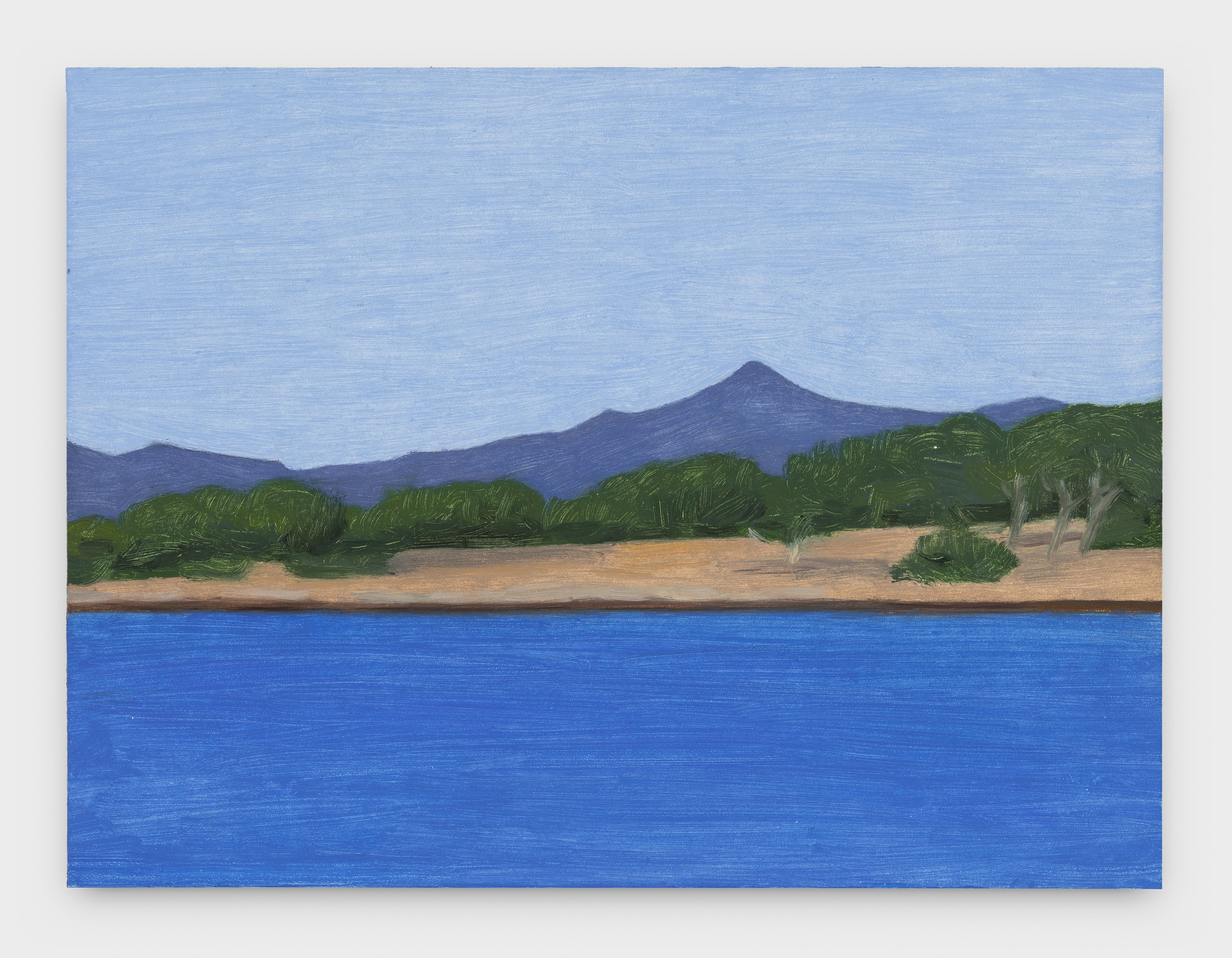 A Minor Constellation, A Minor Constellation at Chris Sharp Gallery, photo 61