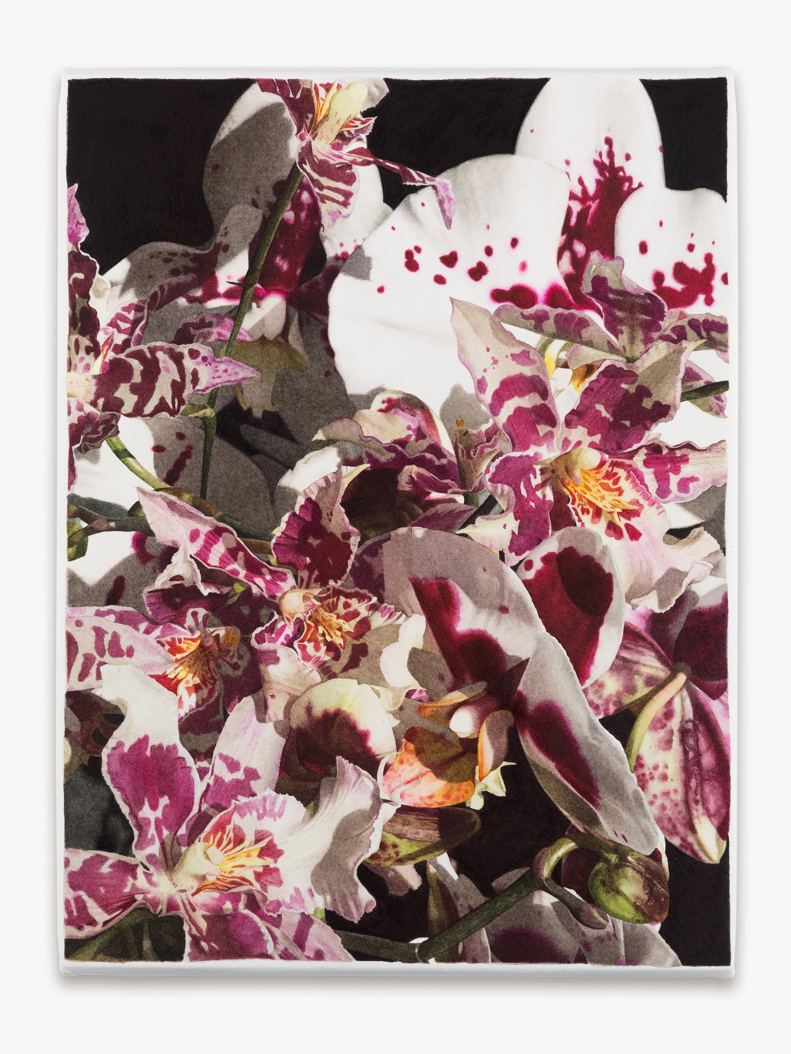 A Minor Constellation, A Minor Constellation at Chris Sharp Gallery, photo 64