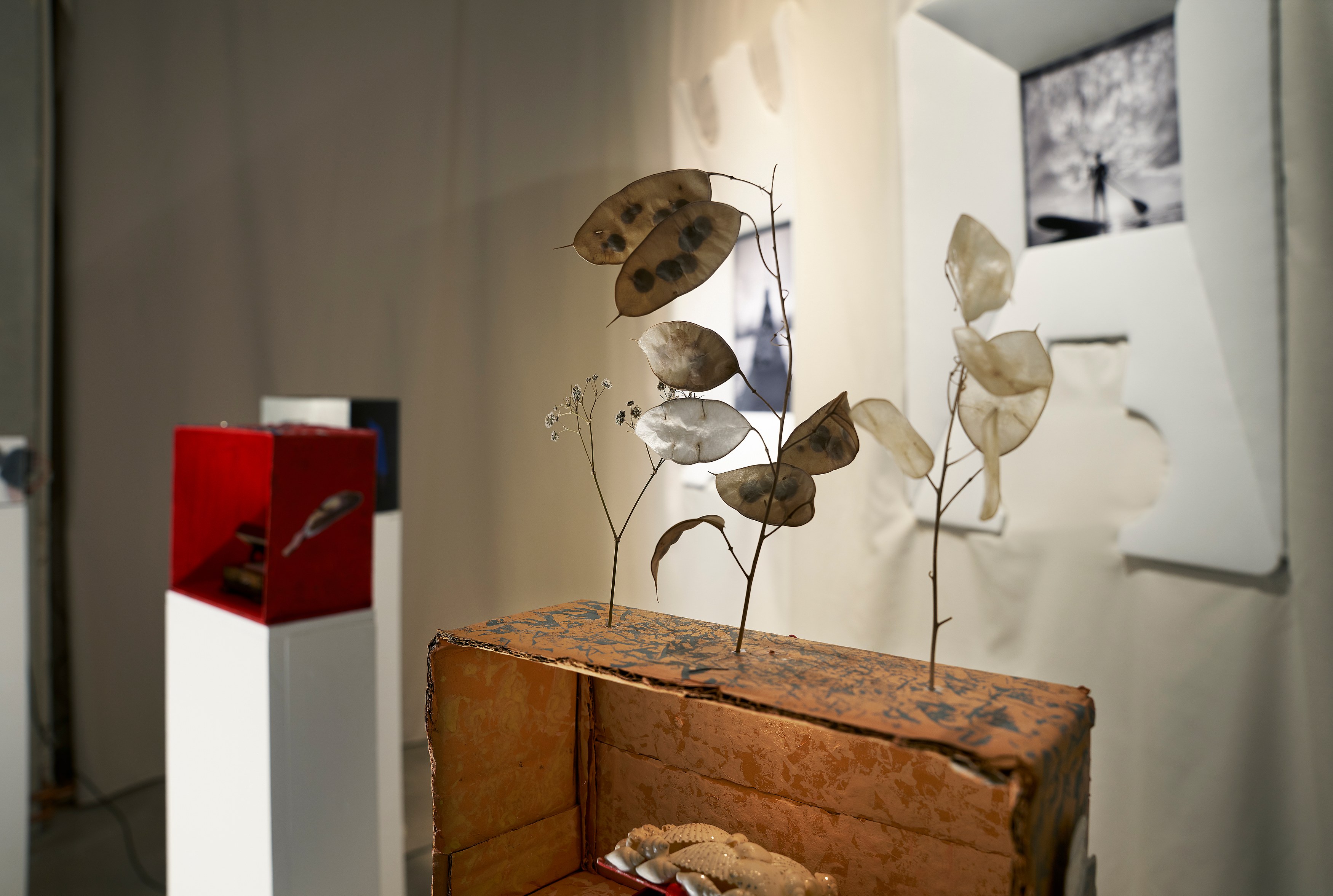 Georgina Hill, Maximilian Schmoetzer, Mystery Box at New Toni, photo 3