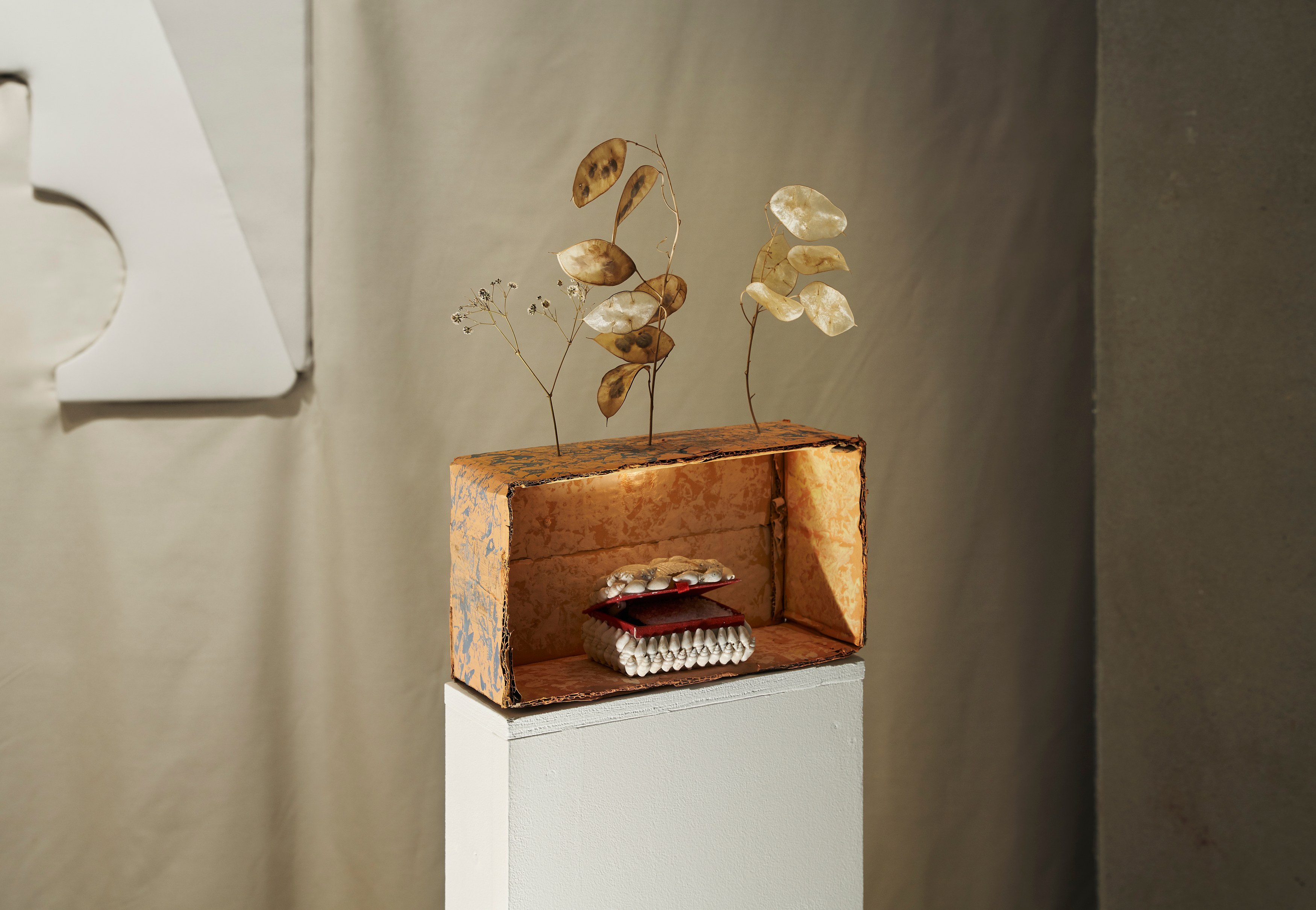 Georgina Hill, Maximilian Schmoetzer, Mystery Box at New Toni, photo 13