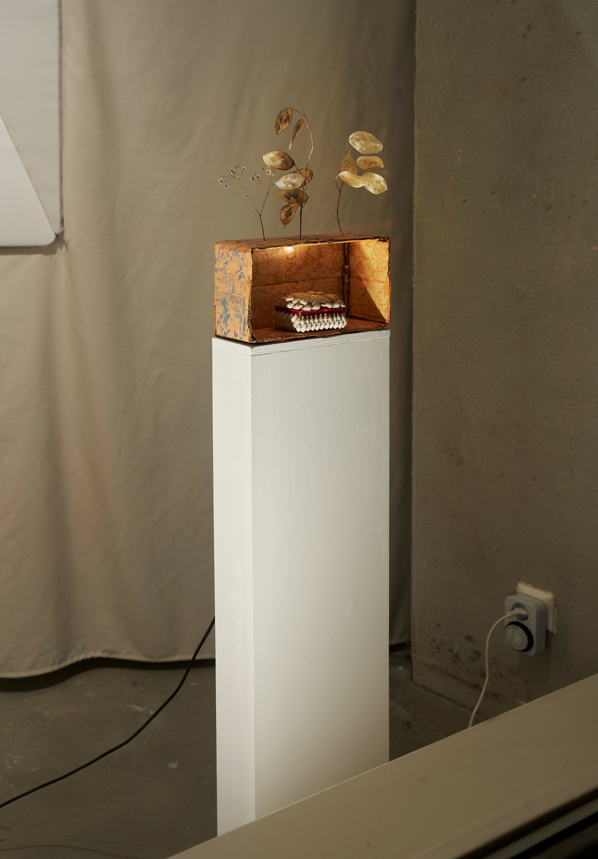 Georgina Hill, Maximilian Schmoetzer, Mystery Box at New Toni, photo 14