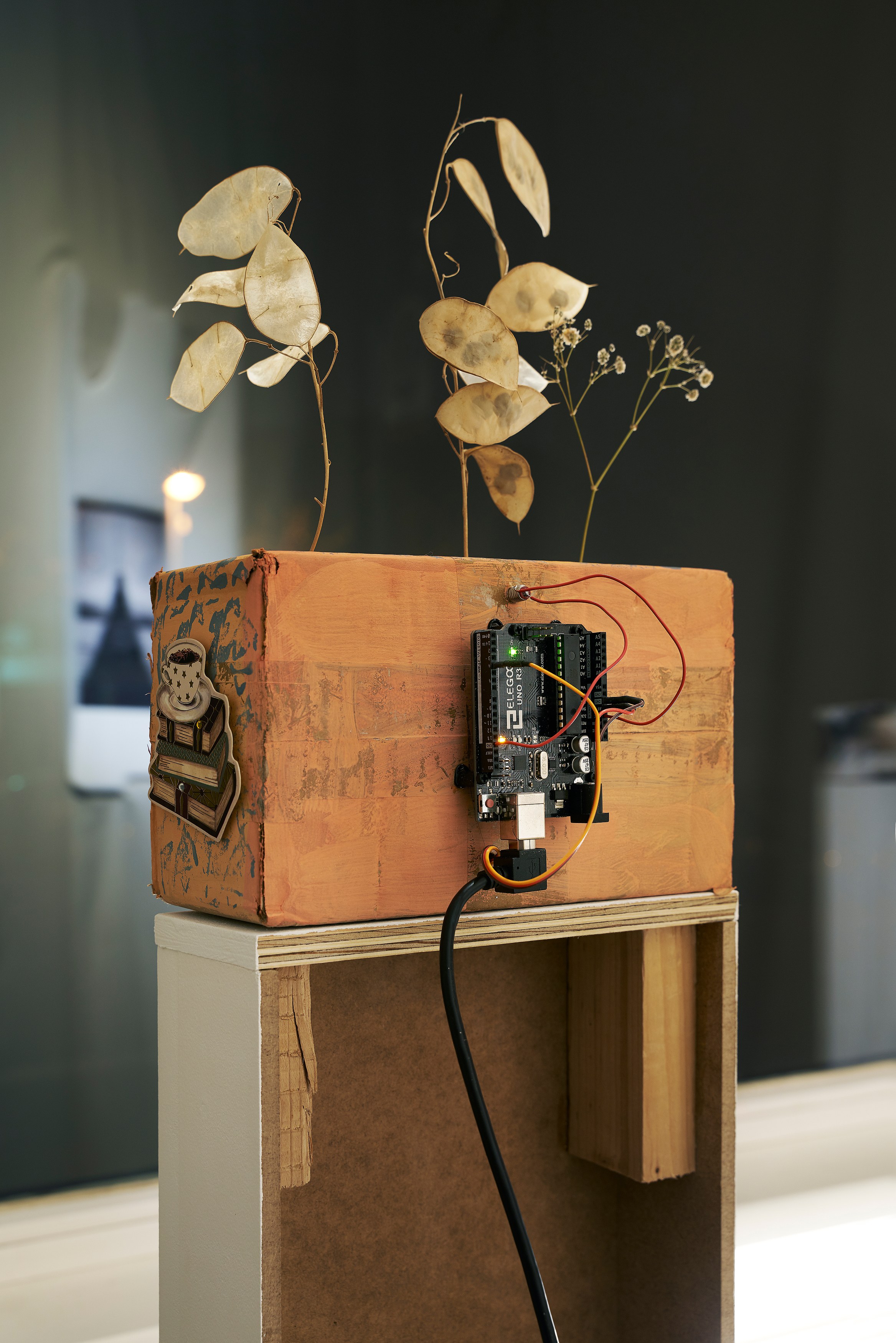 Georgina Hill, Maximilian Schmoetzer, Mystery Box at New Toni, photo 15