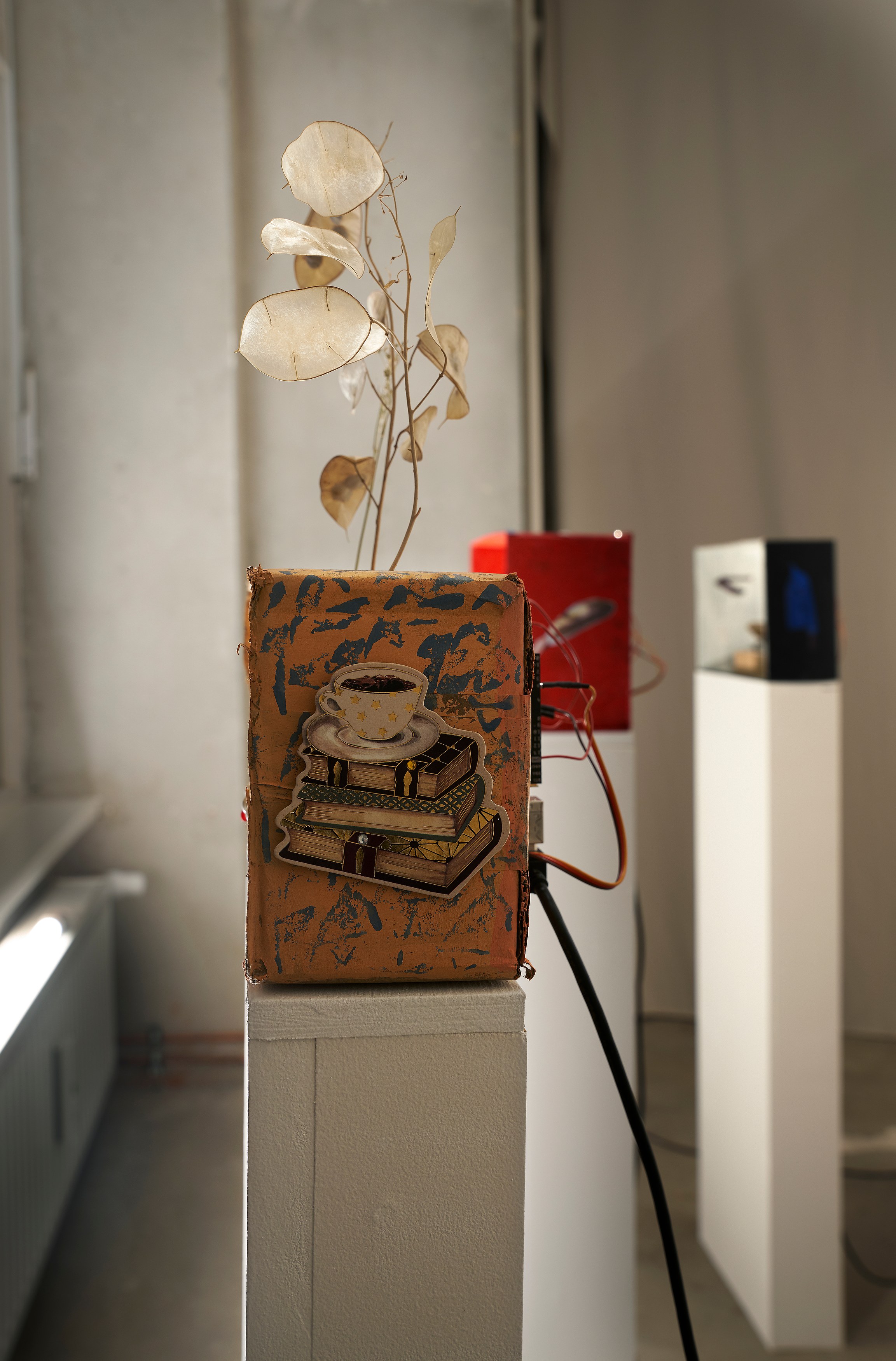 Georgina Hill, Maximilian Schmoetzer, Mystery Box at New Toni, photo 17