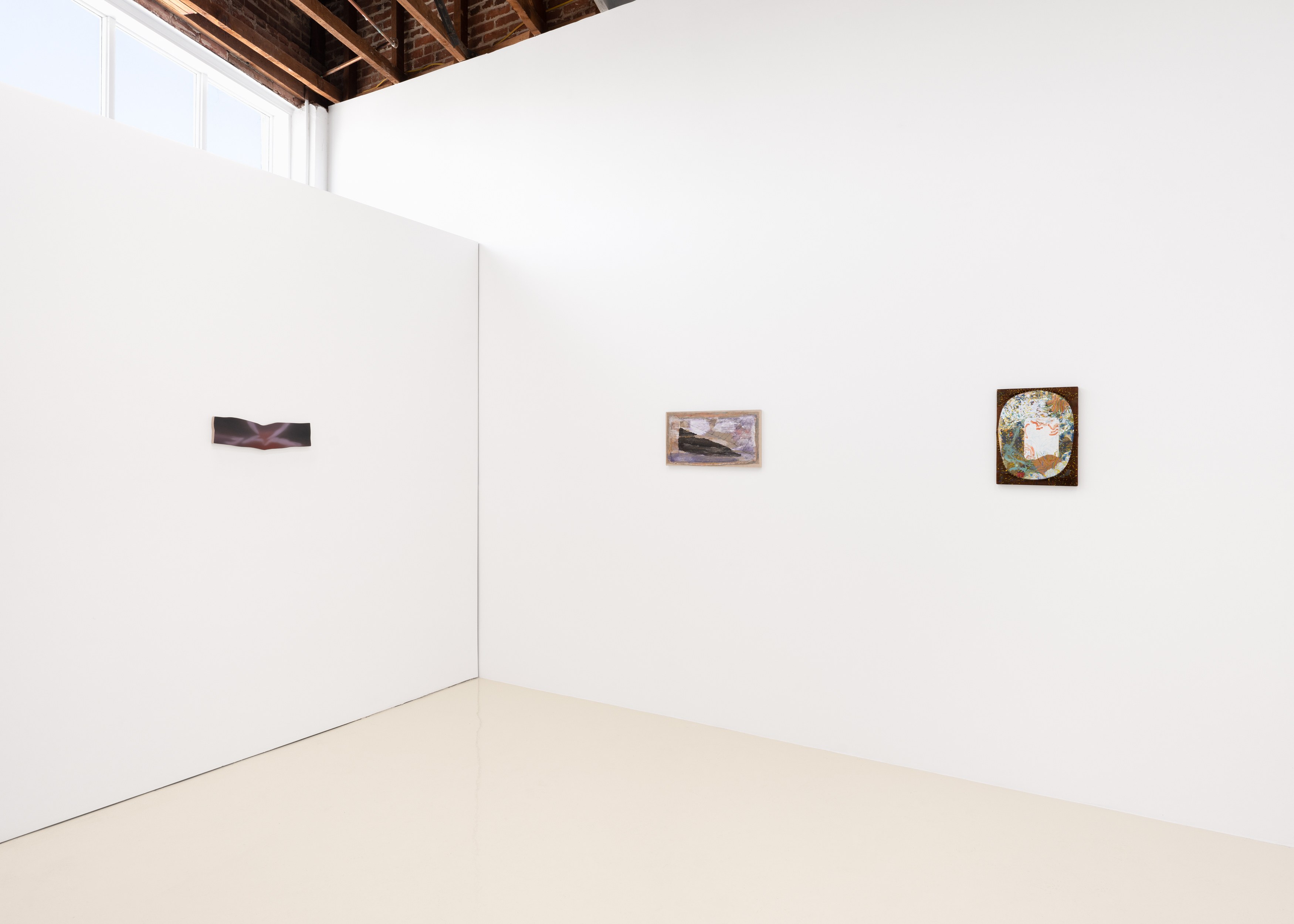 A Minor Constellation, A Minor Constellation at Chris Sharp Gallery, photo 21