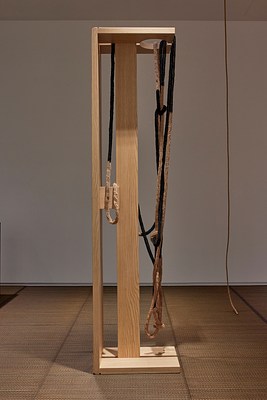 Image 9 of 14