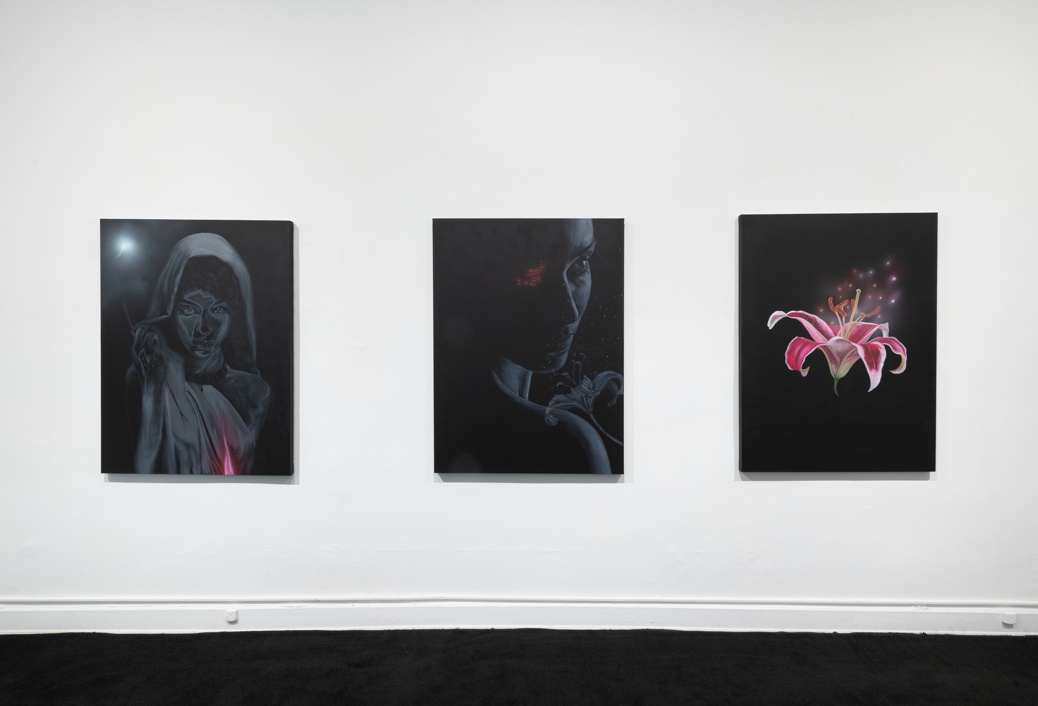 Chino Amobi, Age of Excess at Meredith Rosen Gallery, photo 2