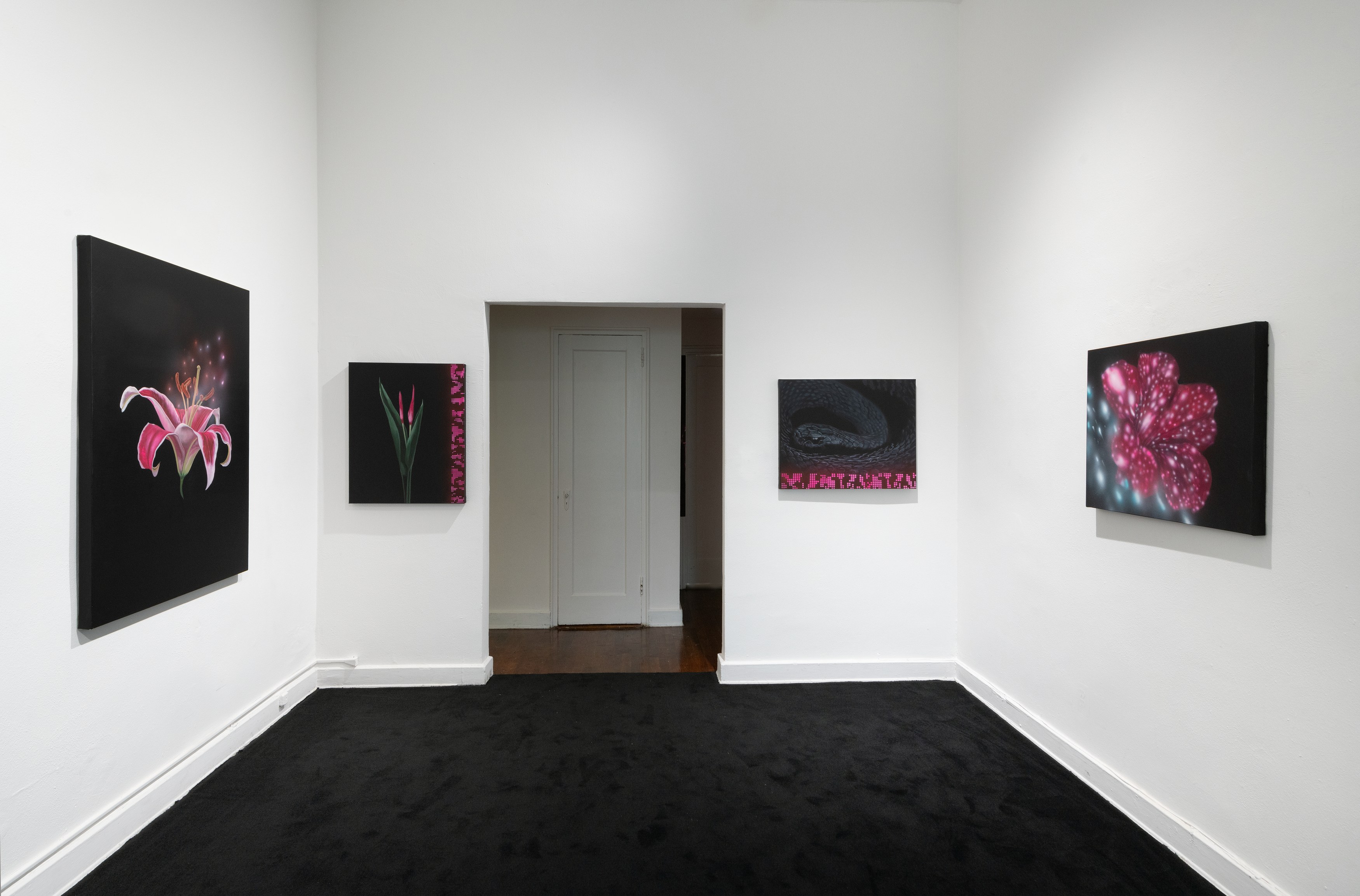 Chino Amobi, Age of Excess at Meredith Rosen Gallery, photo 3