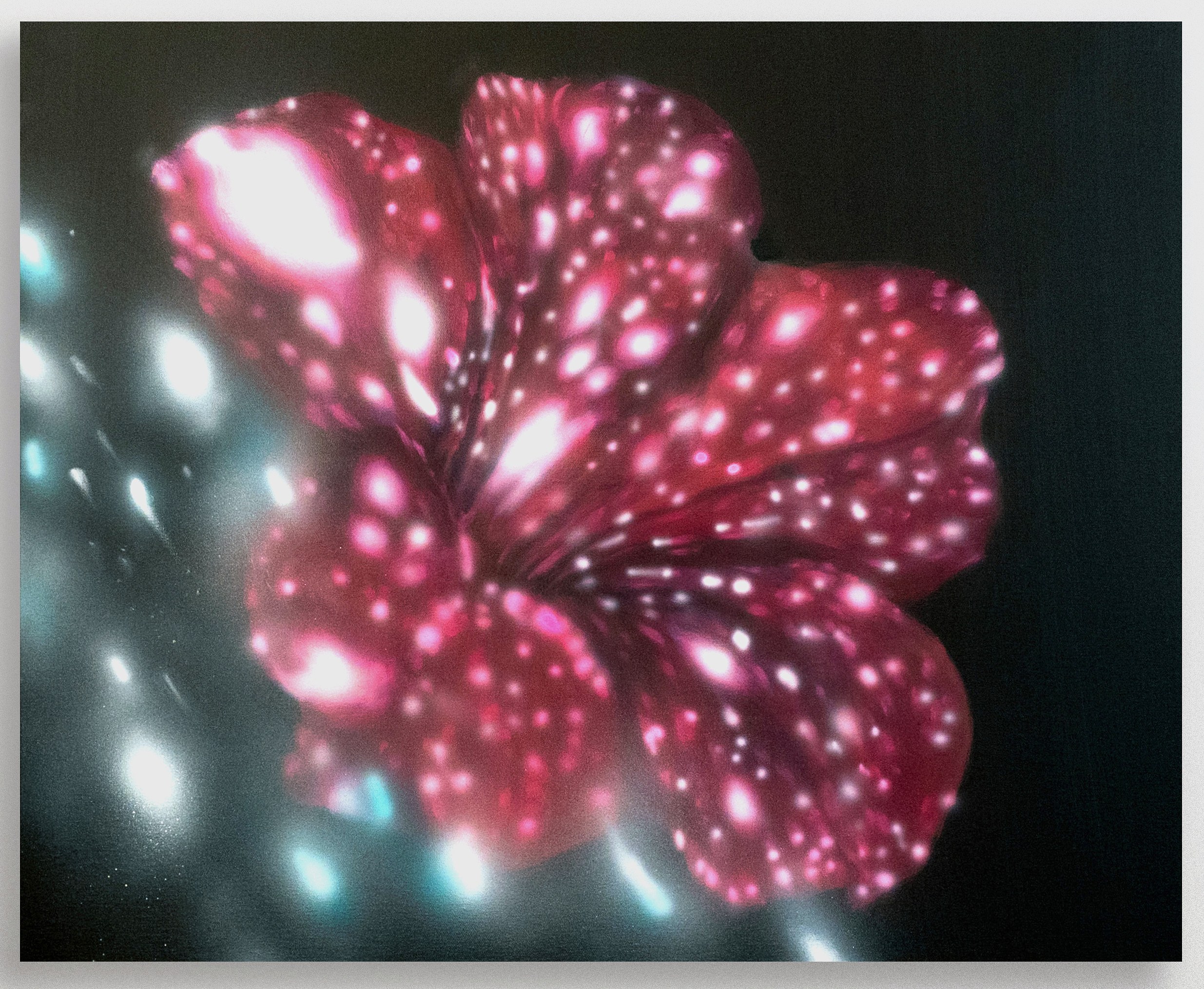 Chino Amobi, Age of Excess at Meredith Rosen Gallery, photo 6