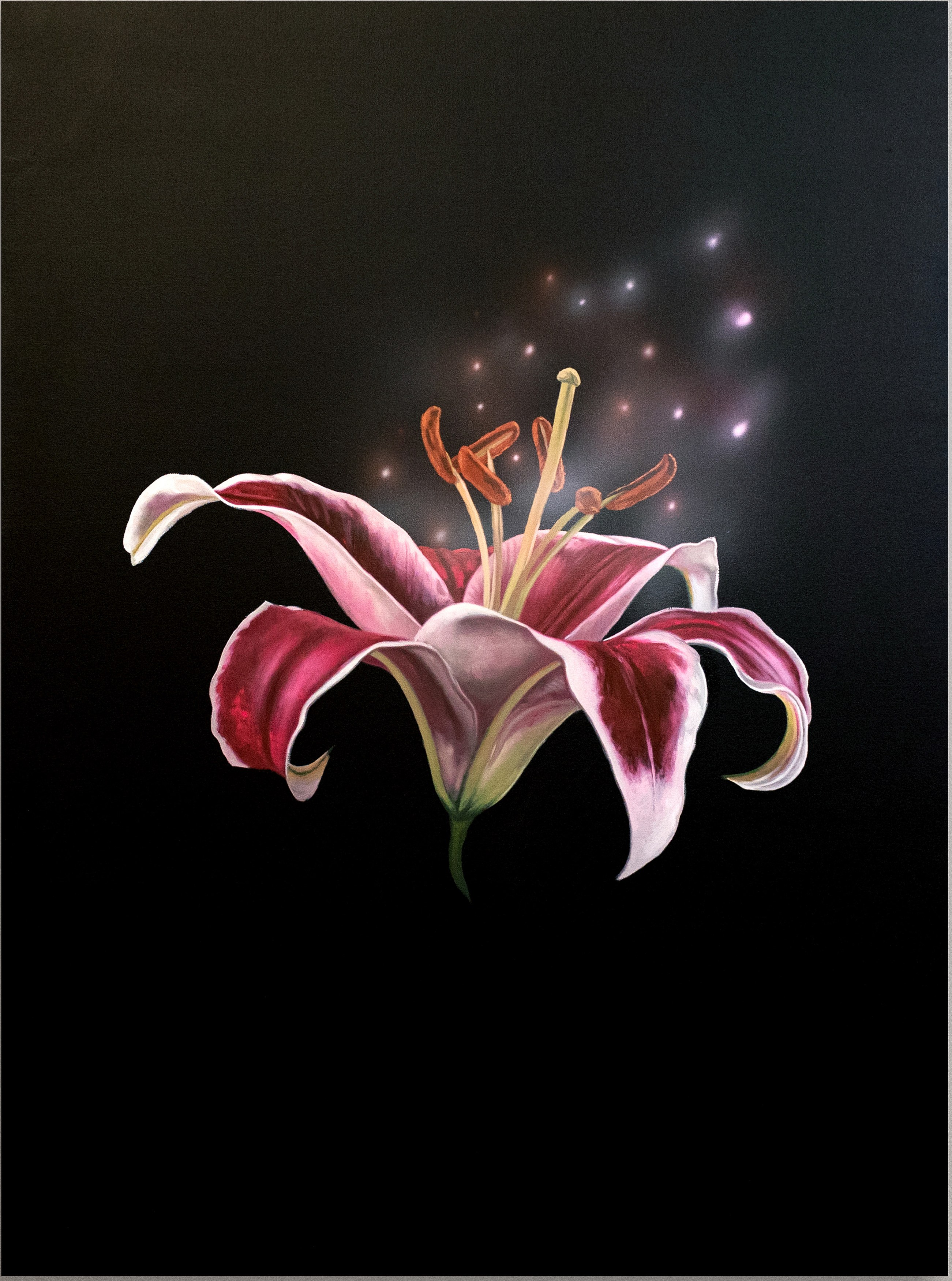 Chino Amobi, Age of Excess at Meredith Rosen Gallery, photo 8