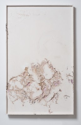 Image 19 of 48