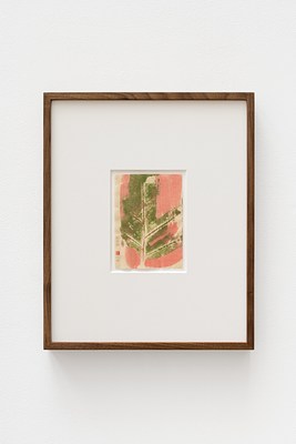 Image 14 of 19