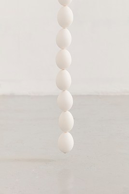 Image 12 of 13
